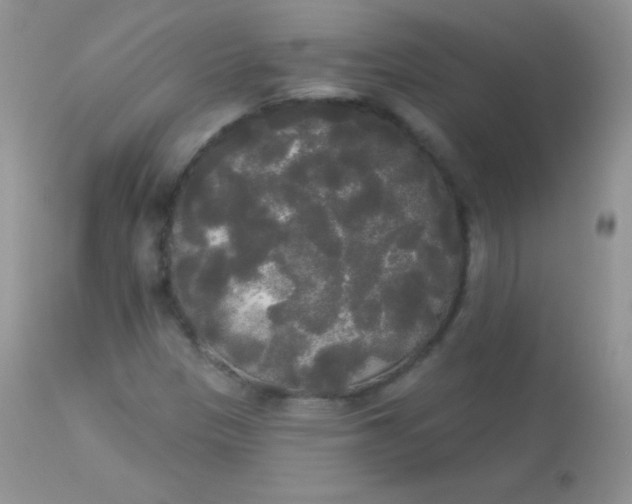 X0000113081305200909182039