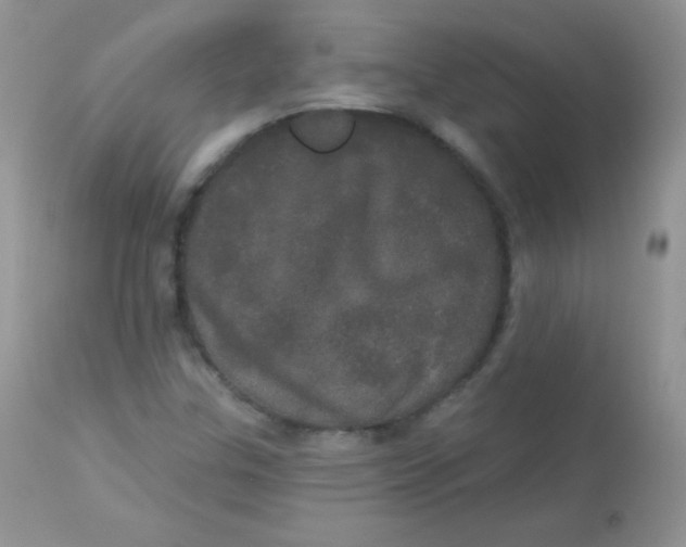 X0000113081307200909182039