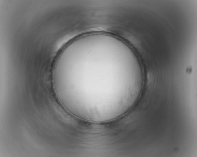 X0000113081308200909182039