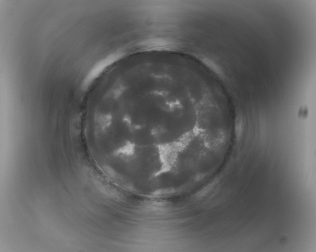 X0000113081309200909182039