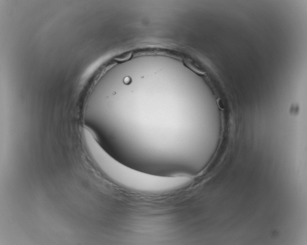 X0000113081310200909182039