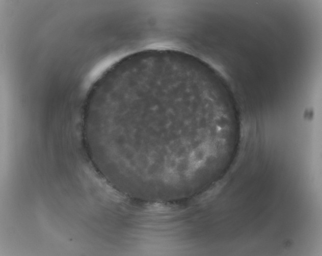 X0000113081311200909182039