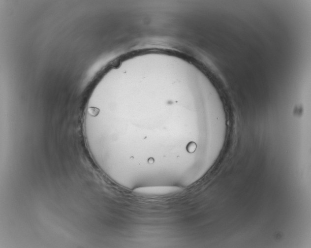 X0000113081312200909182039