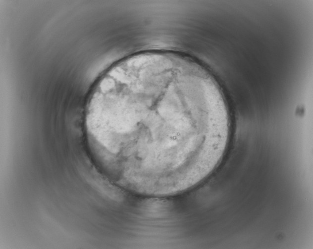 X0000113081314200909182039