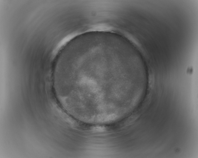 X0000113081315200909182039