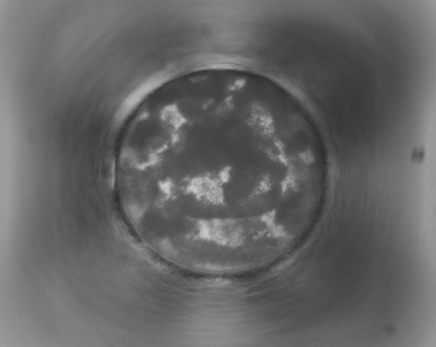 X0000113081317200909182039