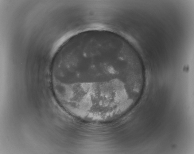 X0000113081318200909182039