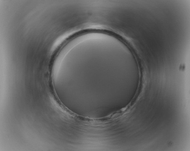 X0000113081319200909182039