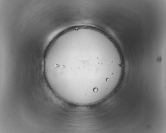 X0000113081320200909182039