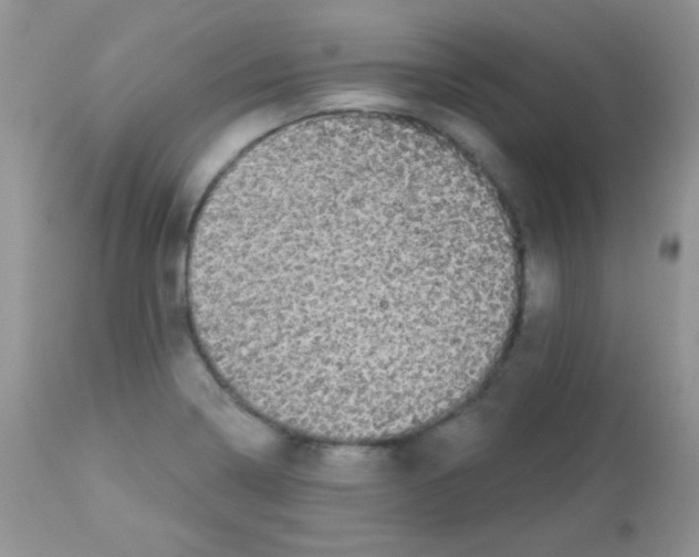 X0000113081322200909182040