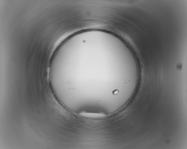 X0000113081324200909182040