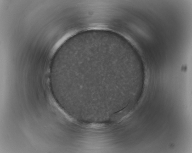 X0000113081325200909182040