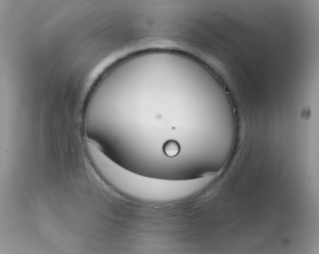 X0000113081326200909182040