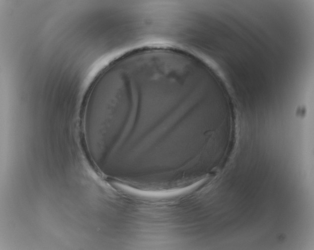 X0000113081327200909182040