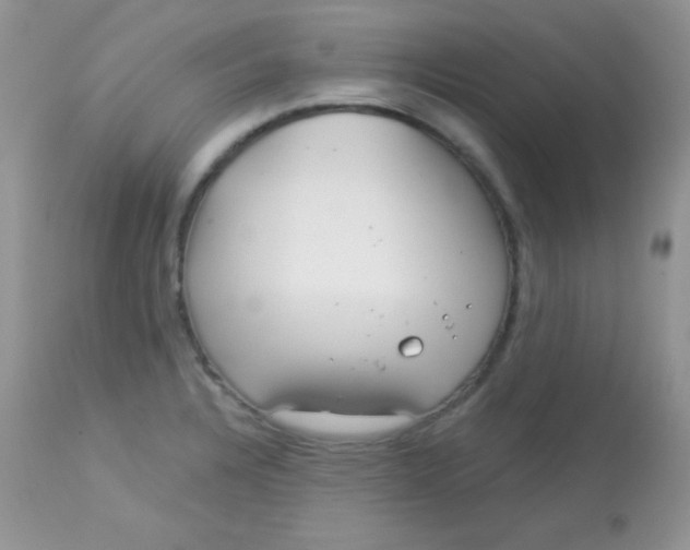 X0000113081328200909182040