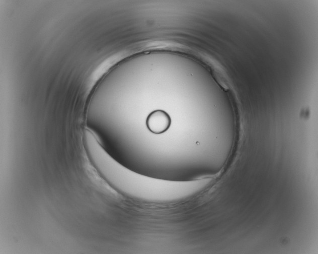 X0000113081330200909182040