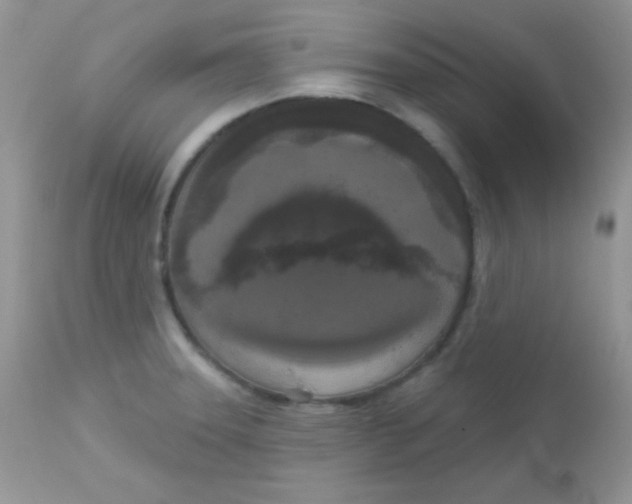 X0000113081331200909182040