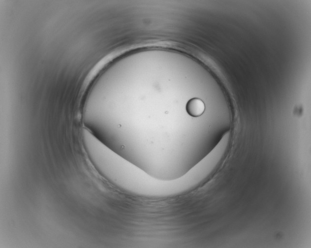 X0000113081332200909182040