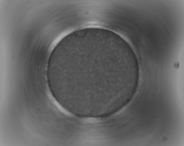 X0000113081333200909182040