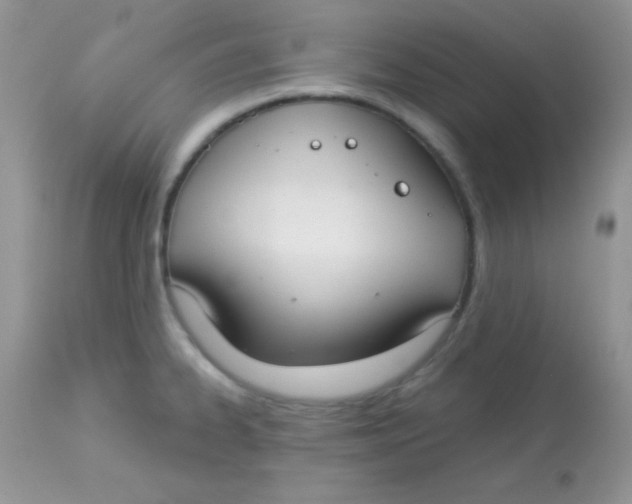 X0000113081334200909182040