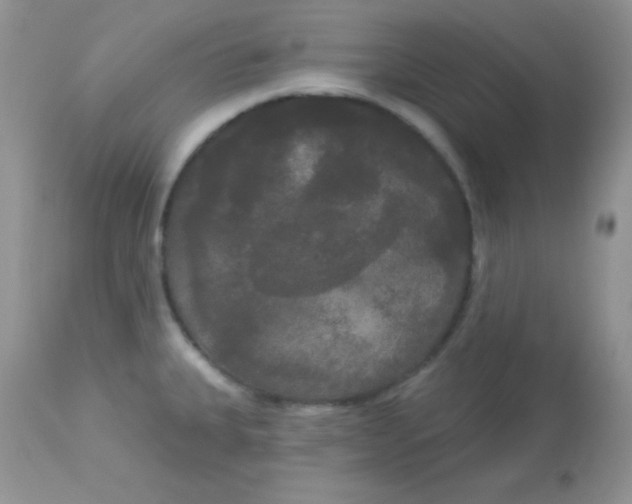 X0000113081335200909182040