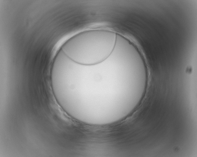 X0000113081336200909182040