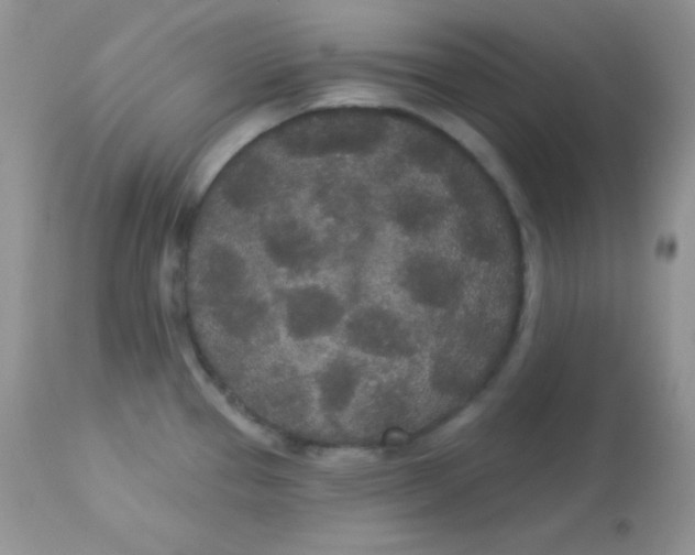 X0000113081337200909182040