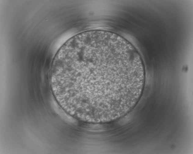 X0000113081338200909182040