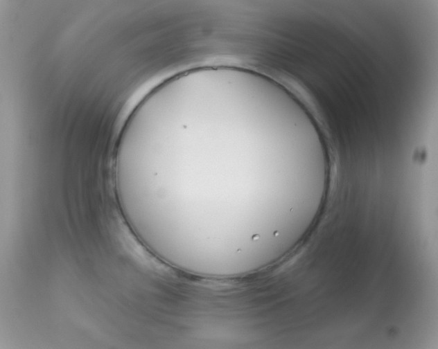 X0000113081340200909182040