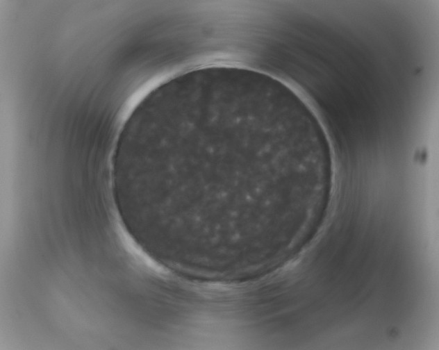 X0000113081341200909182040