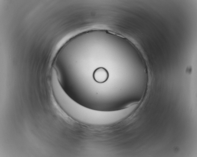 X0000113081342200909182040