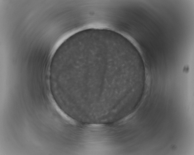 X0000113081343200909182040