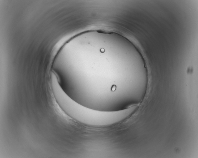 X0000113081344200909182040