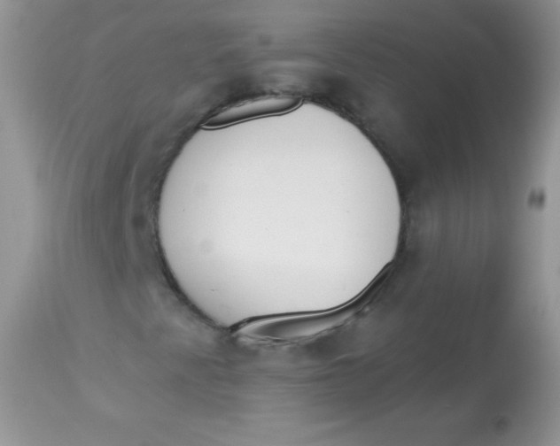 X0000113081345200909182039