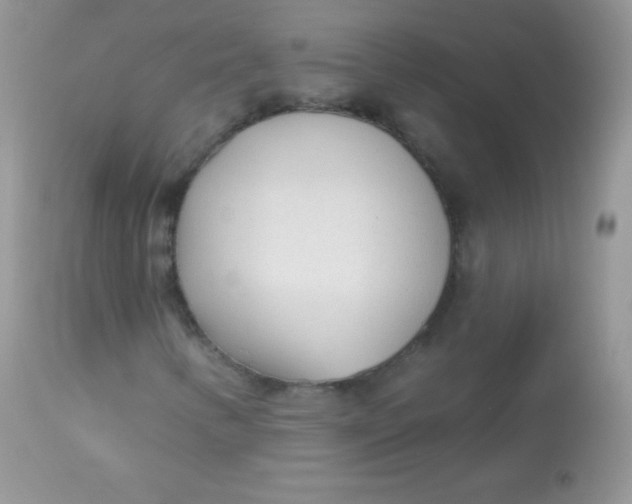 X0000113081346200909182039