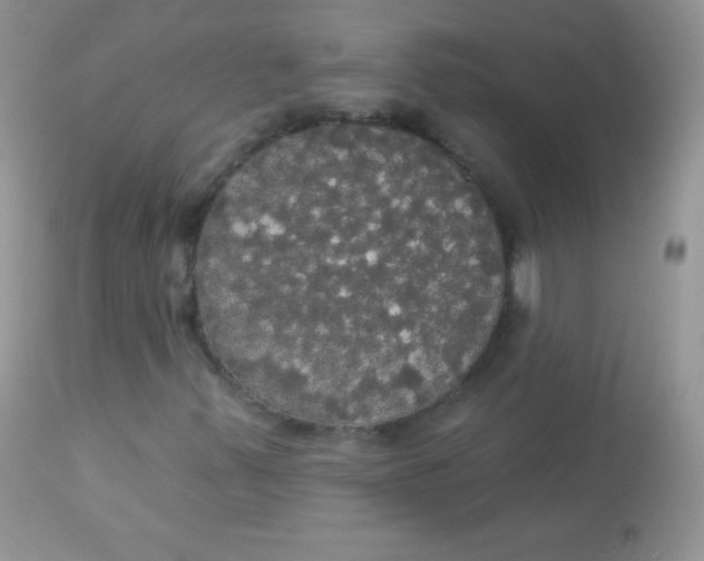 X0000113081347200909182039