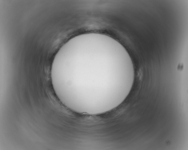 X0000113081348200909182039