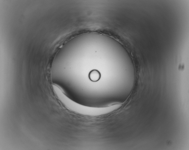 X0000113081349200909182039