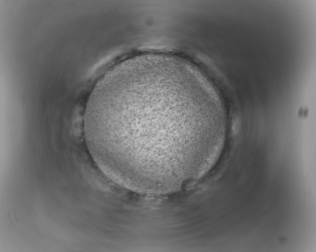 X0000113081350200909182039