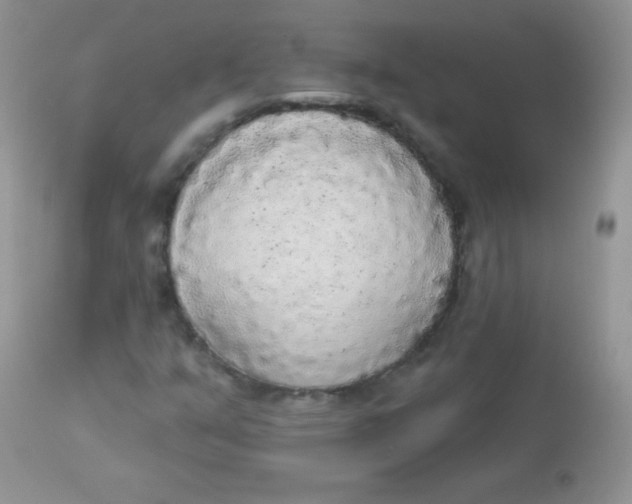 X0000113081351200909182039