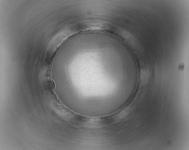 X0000113081353200909182039