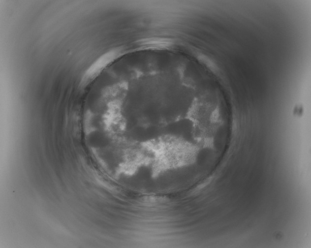 X0000113081354200909182039