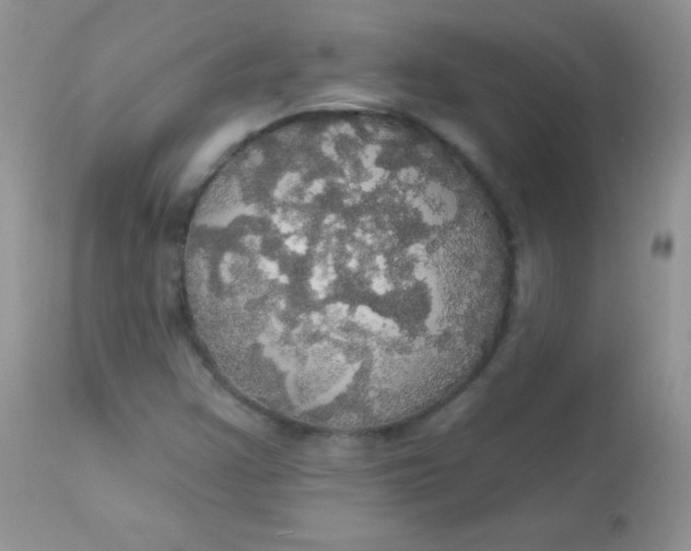 X0000113081355200909182039