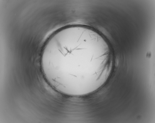 X0000113081356200909182039