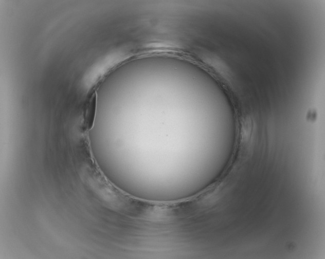 X0000113081357200909182039