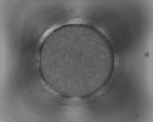 X0000113081358200909182039