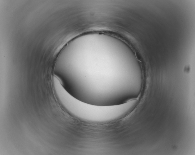 X0000113081361200909182039