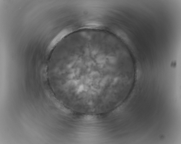 X0000113081362200909182039