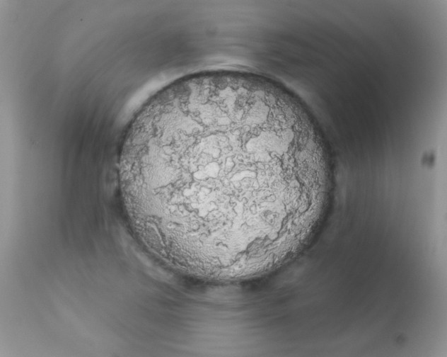 X0000113081363200909182039