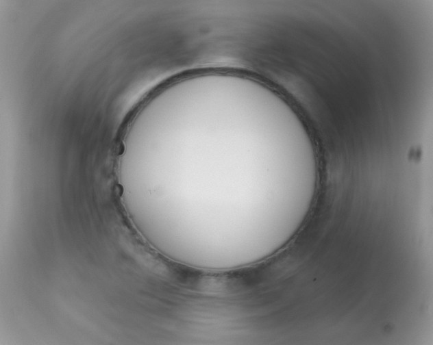 X0000113081364200909182039